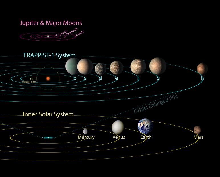 Size comparison showing that the outer most planet of TRAPPIST-1orbits at less than half the distance that Mercury orbits our sun!